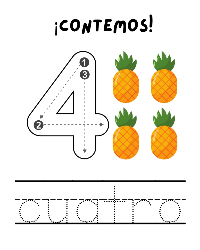 Página 5